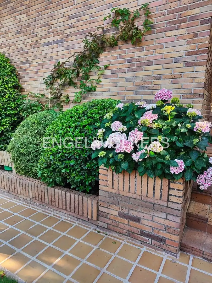Vista exterior de Casa o xalet en venda en Las Rozas de Madrid amb Aire condicionat, Calefacció i Jardí privat