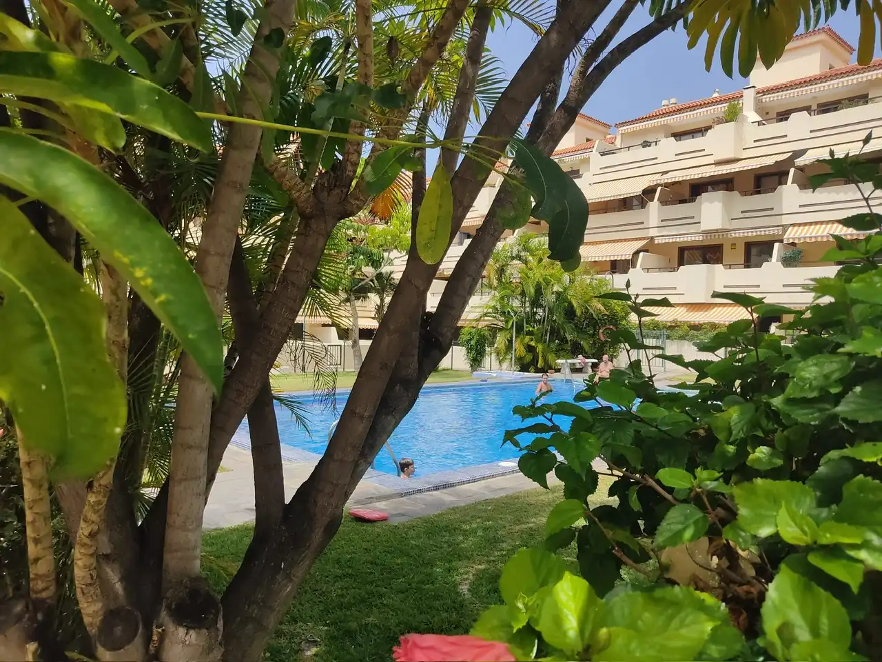 Swimming pool of Apartments for rent in Puerto de la Cruz  with Terrace, Furnished and Washing machine