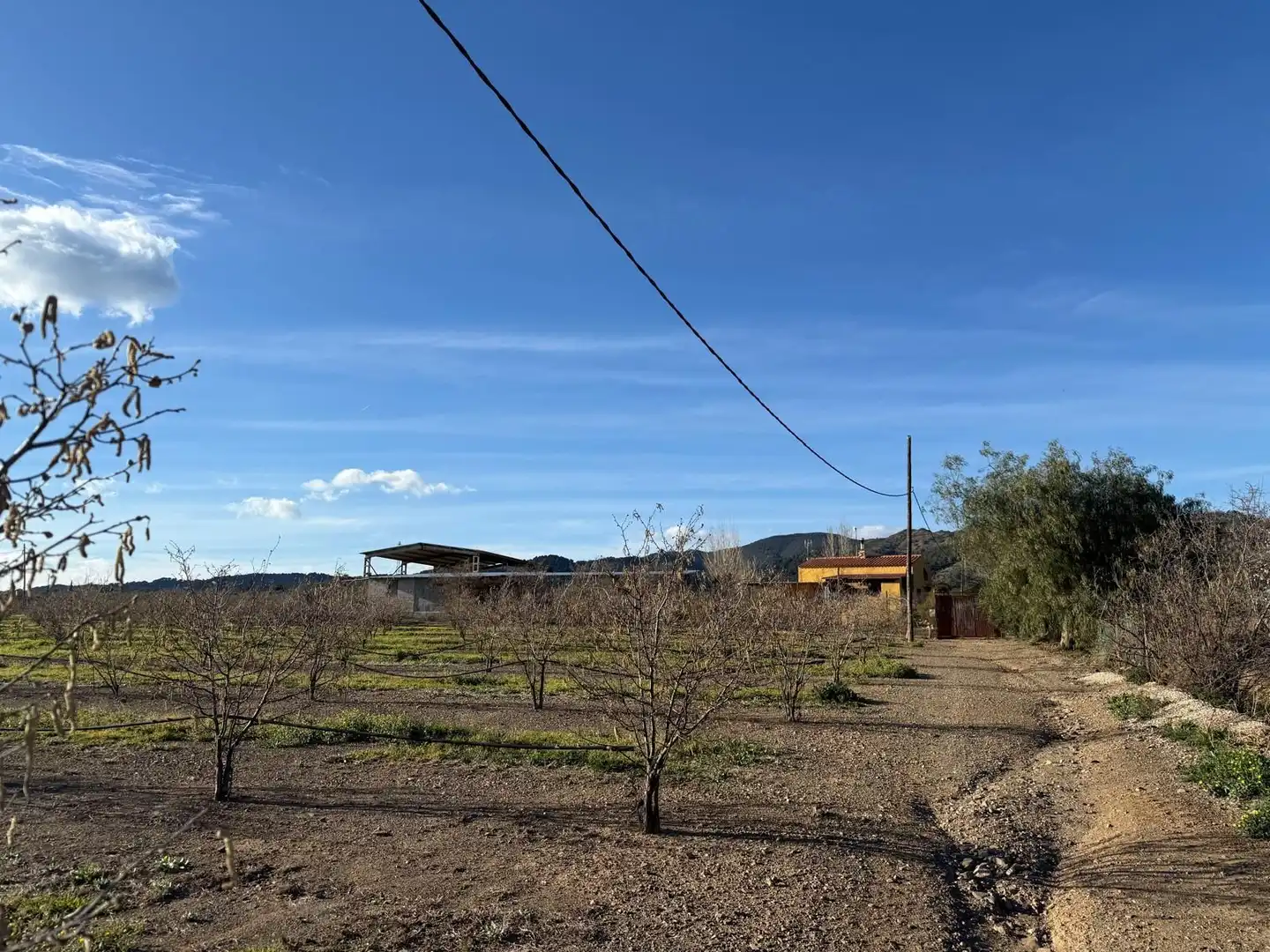 Casa rústica en venta en La Selva del Camp, imagen 44