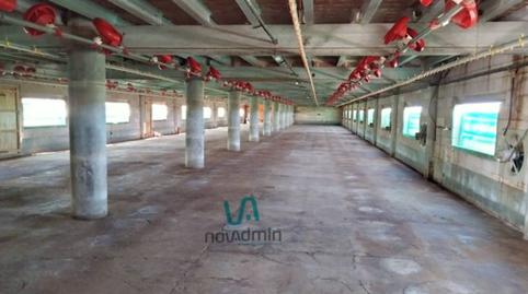 Photo 3 of Industrial buildings for sale in Carrer Camí Estació, El Poal, Lleida