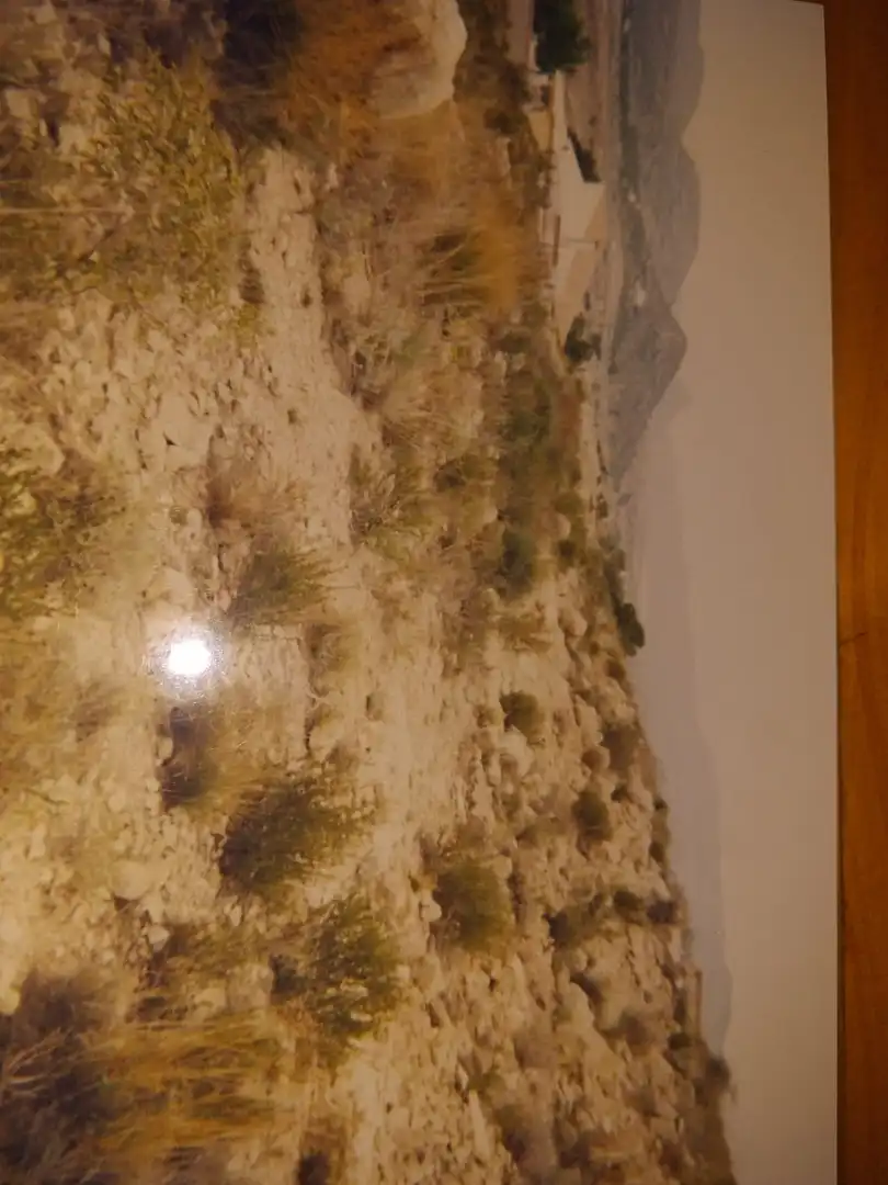 Residencial en venta en Partida VALLE EL SAVINAR, Villamontes - Boqueres