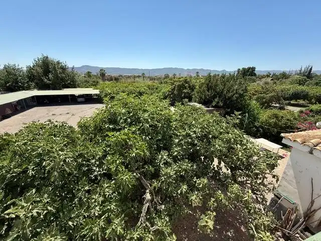 Maison rustique avec piscine à vendre à Pedanías Oeste, imagen 11