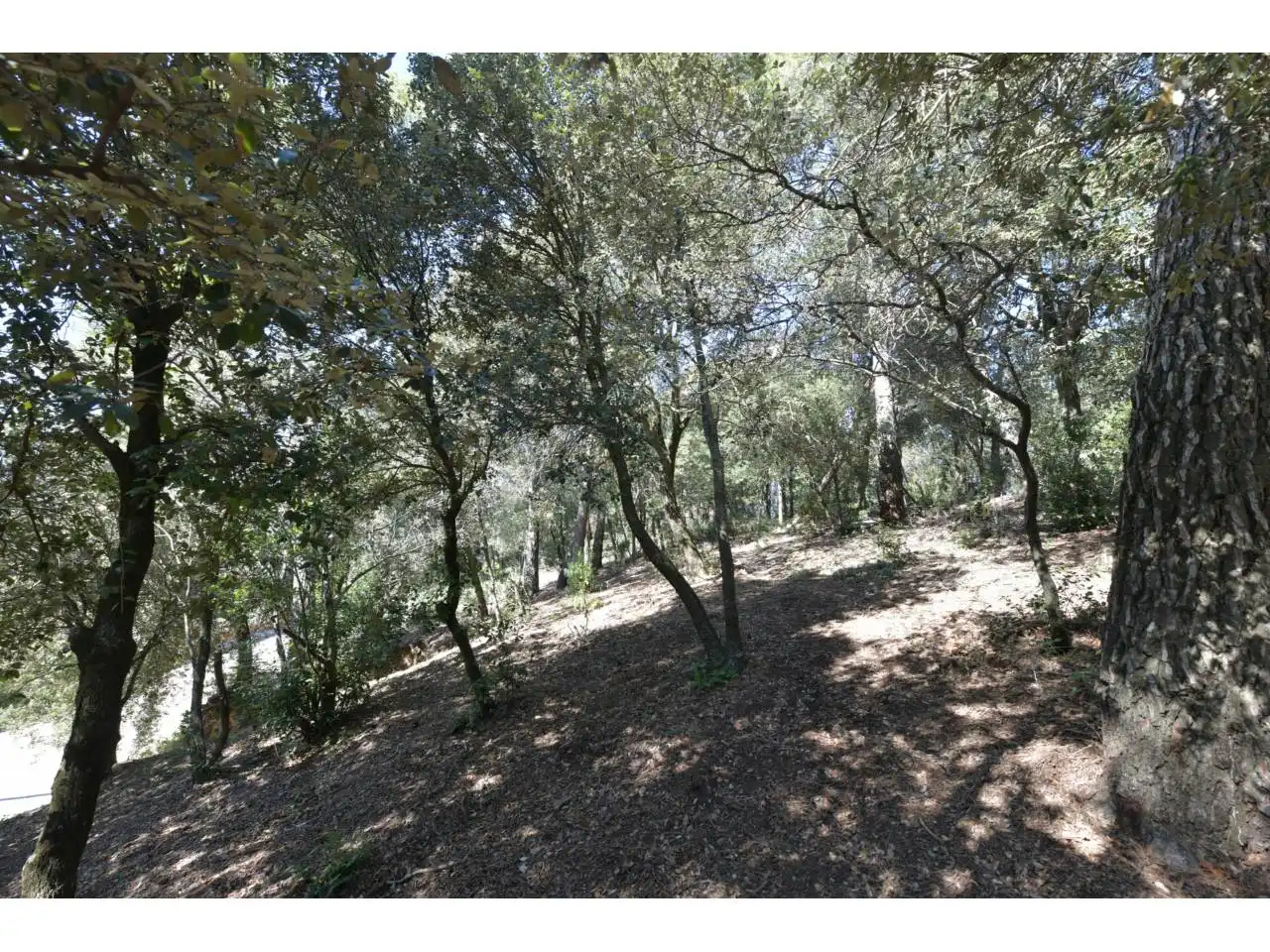 Wohnbaugrundstück zum Verkauf in El Racó - Sant Feliu del Racó, imagen 16