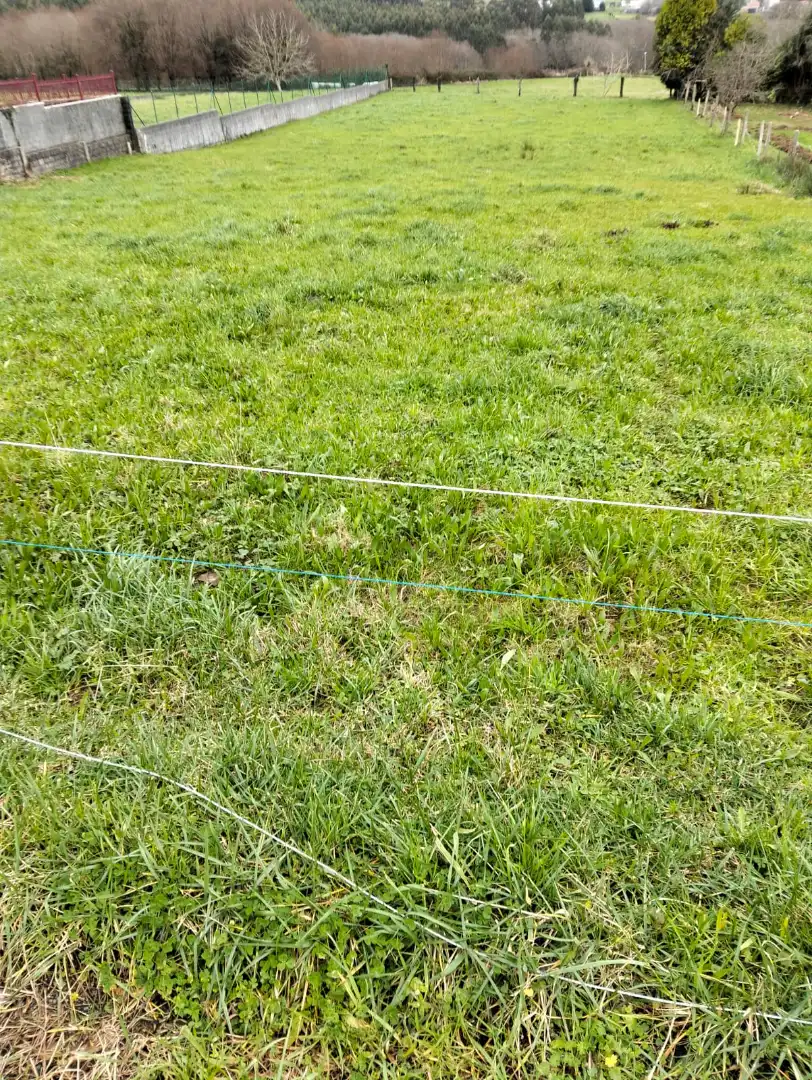 Grundstücke und Bauplätze zum Verkauf in Lugar Corredoira 16, imagen 2