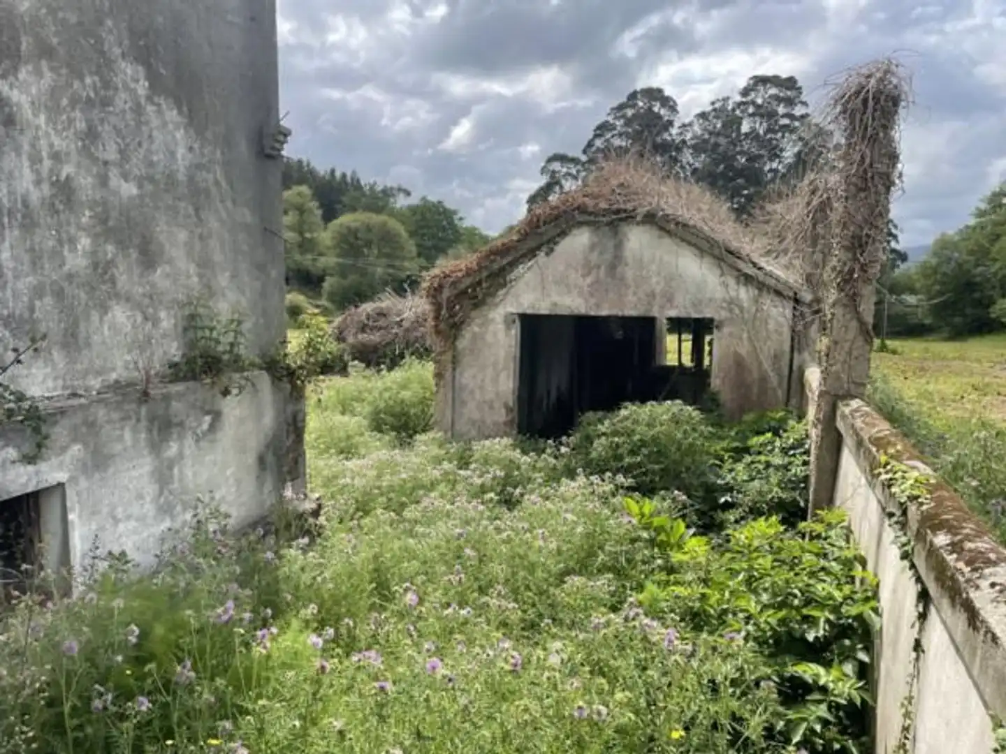Vista exterior de Casa o xalet en venda en Cariño amb Jardí privat