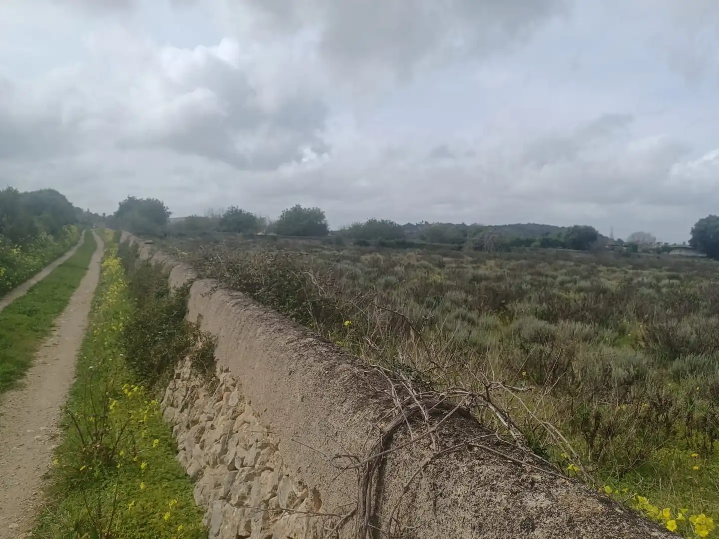 Rural land for sale in Felanitx Poble, imagen 8