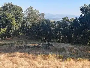 Terreni e lotti in vendita a Losar de la Vera, imagen 12