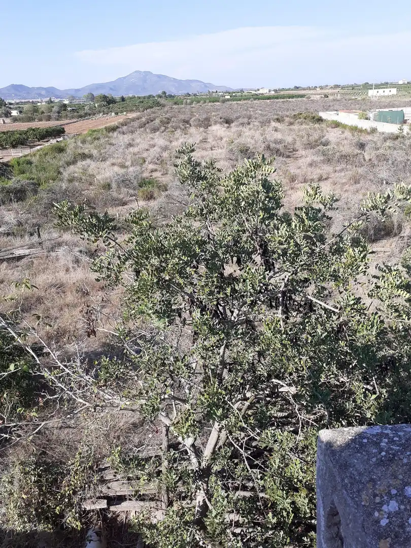 Terreny rústic en venda a Boverals - Saldonar, imagen 10