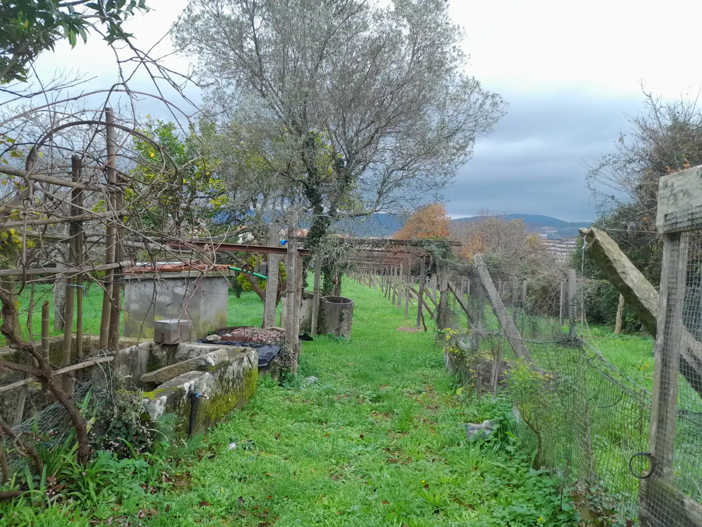 Jardí de Casa o xalet en venda en Pontevedra Capital  amb Moblat