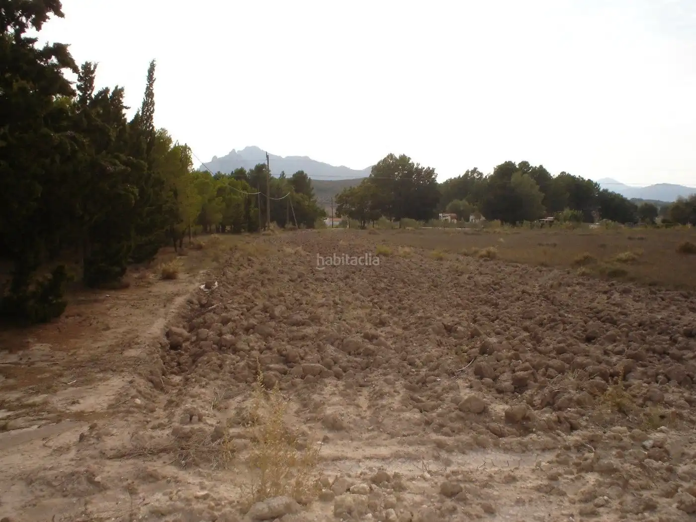 Rural land for sale in Plaça Poligono 2 176