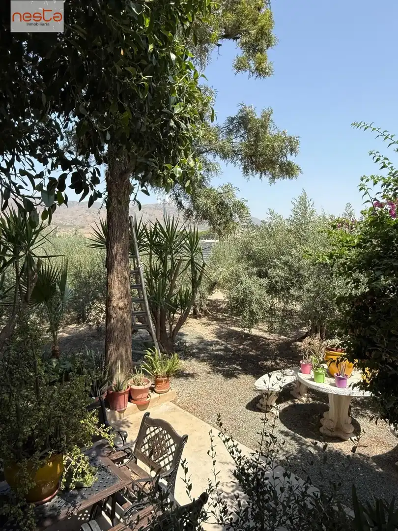 Xalet amb jardí en venda a Pedanías Centro, imagen 59