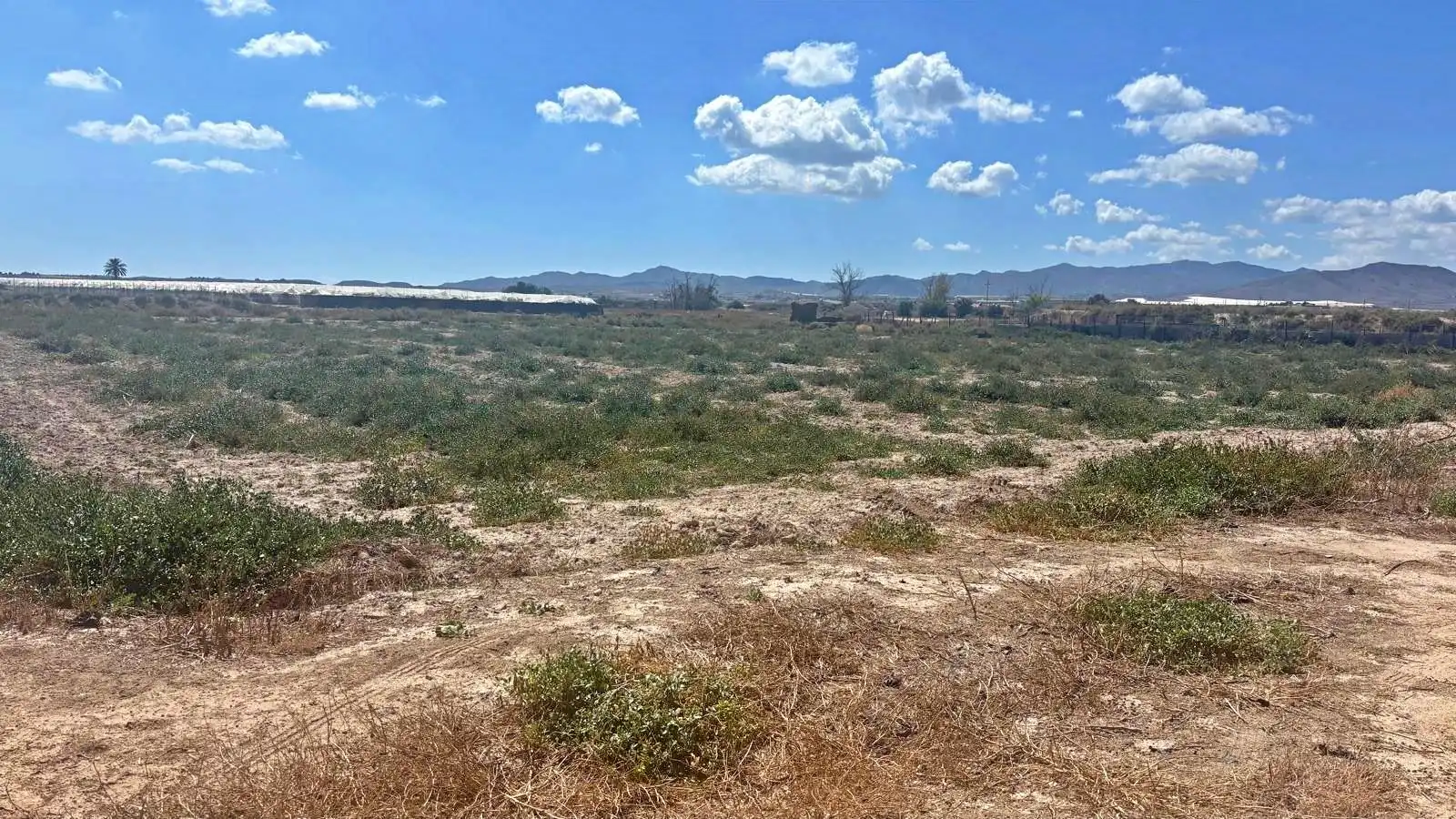 Terrenys i solars en venda a Totana, imagen 2