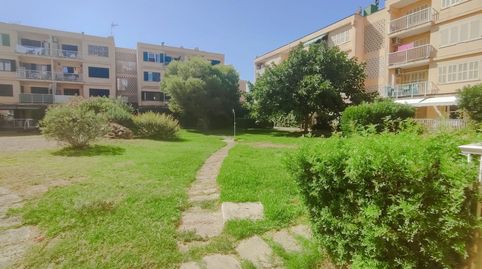 Photo 3 of Apartments for rent in Carrer Juia, Muro, Illes Balears