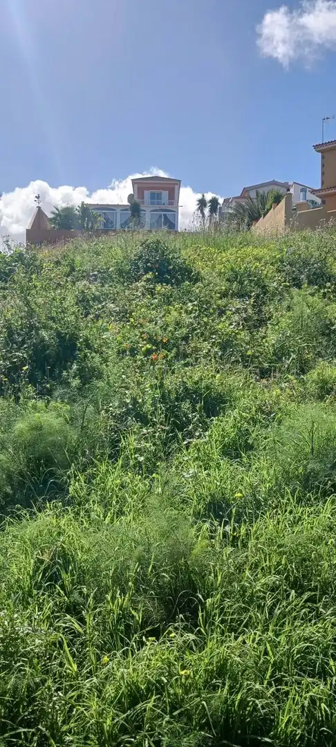 Terreny residencial en venda a El Sauzal, imagen 17