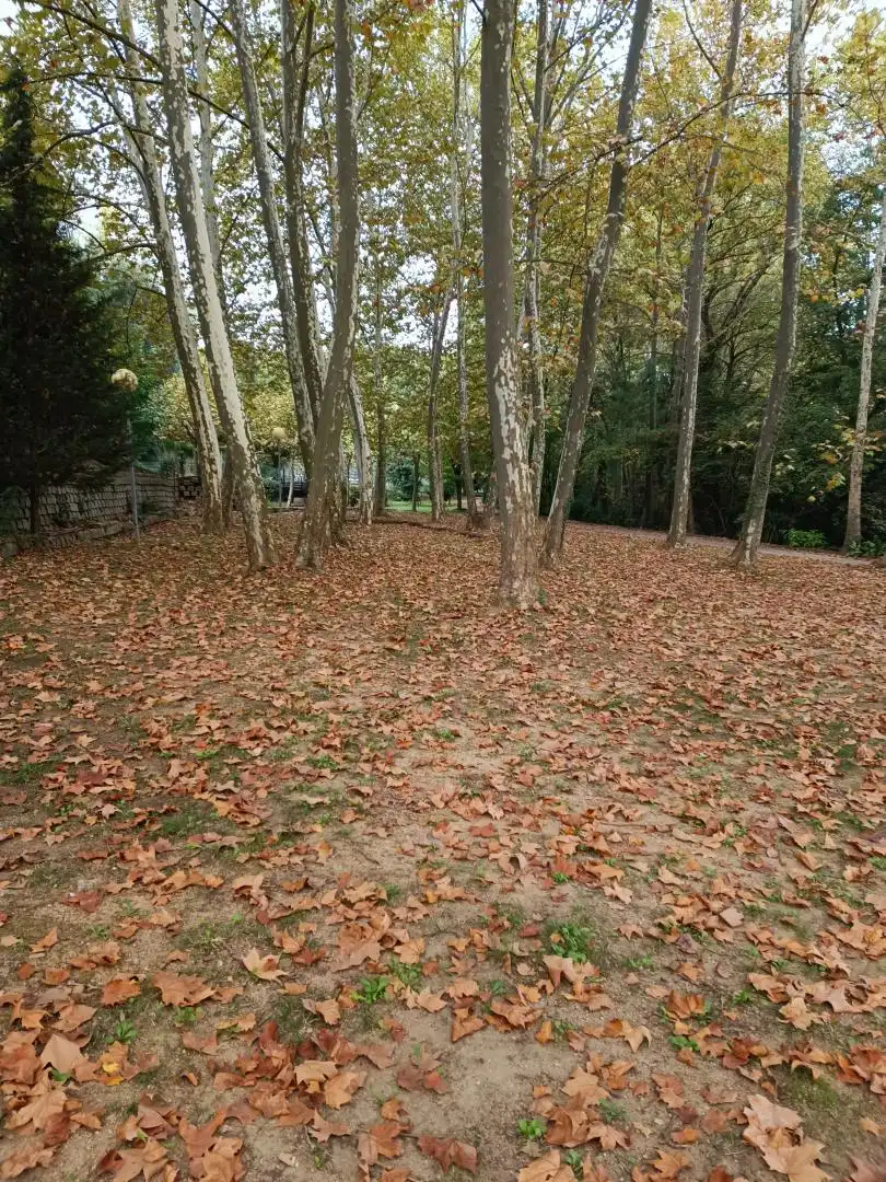 Dúplex de lloguer a Gualba