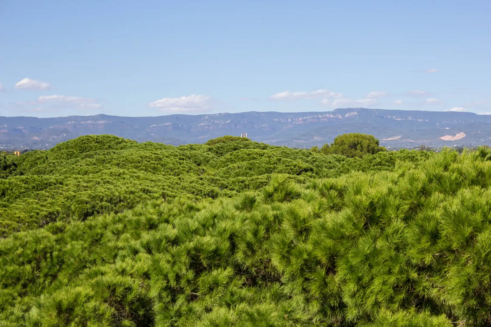 Attic for sale in Avinguda de la Diputació, 41, Regueral - Prat d'en Forés