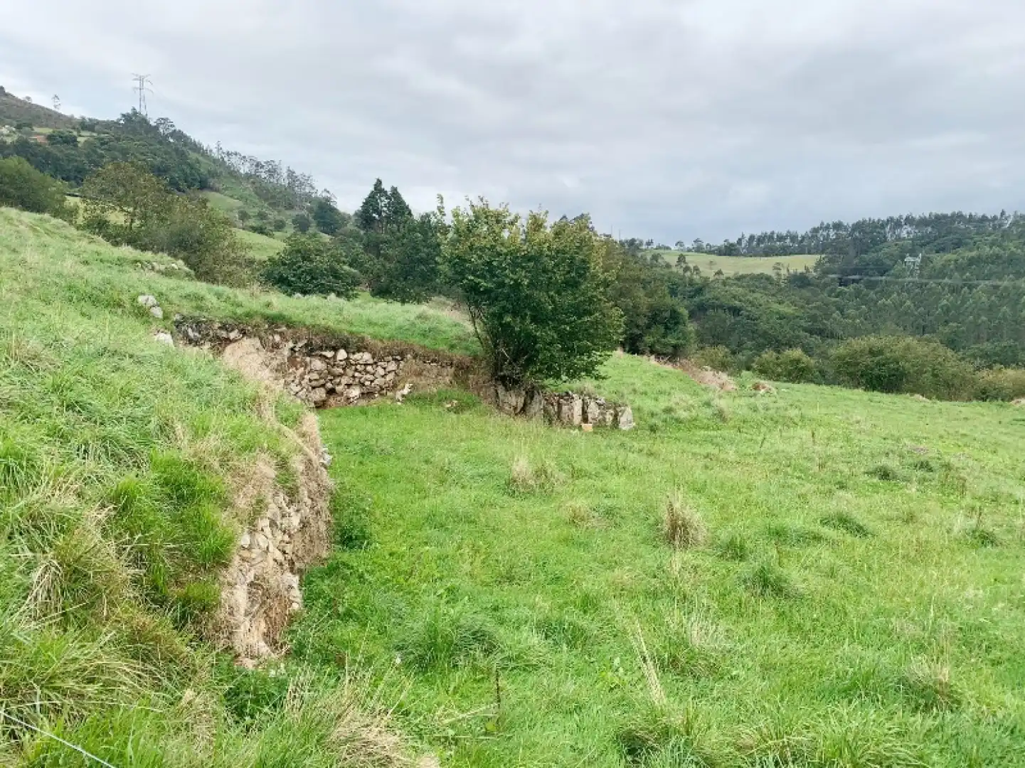 Terreno en venta en Udías