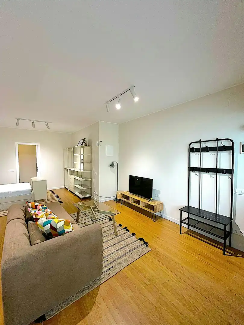 Sala de estar de Piso de alquiler en Barcelona con Aire acondicionado, Calefacción y Amueblado