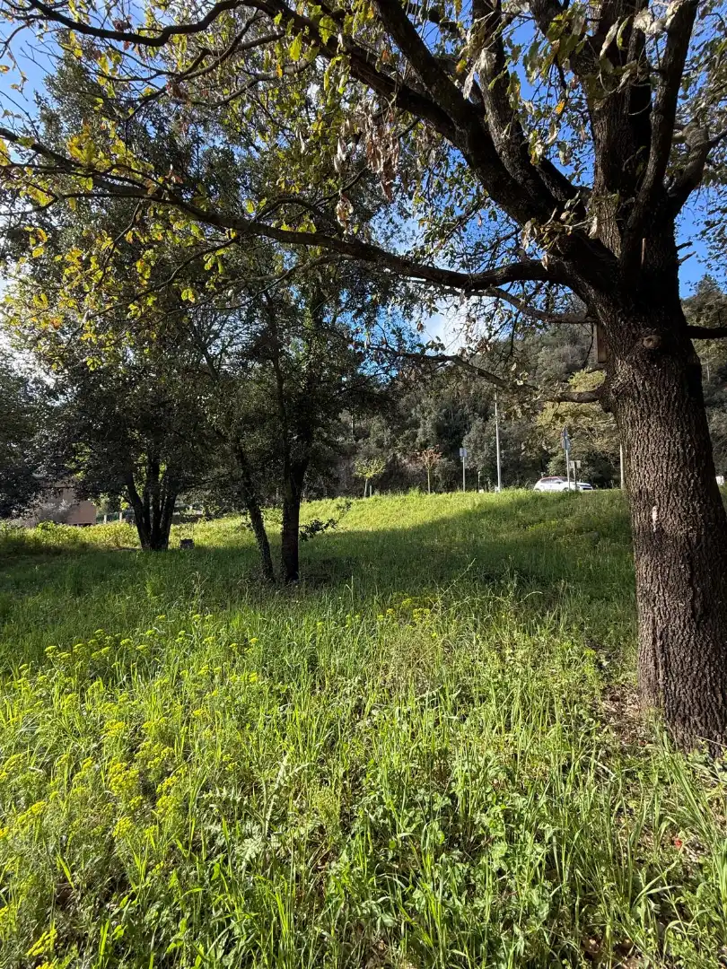 Wohnbaugrundstück zum Verkauf in Passeig de Can Figueres 33, imagen 21