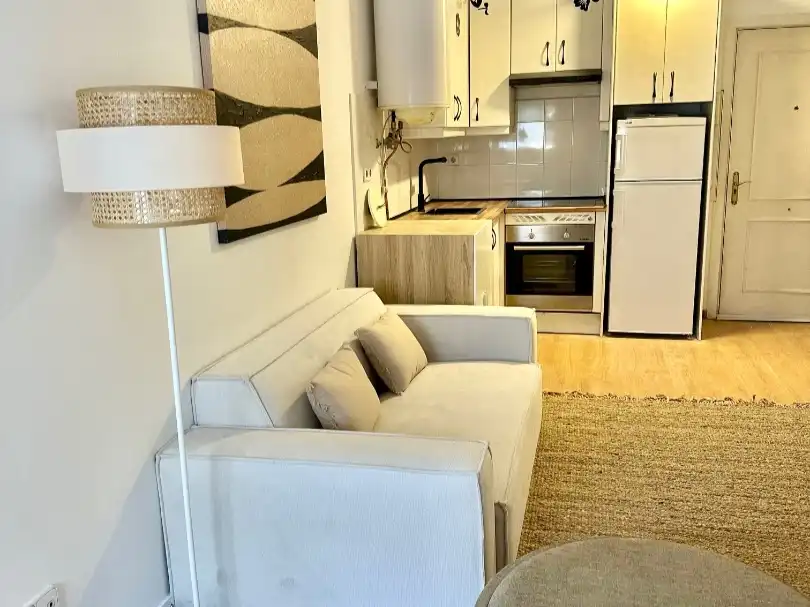 Living room of Flat for rent in Chamberí