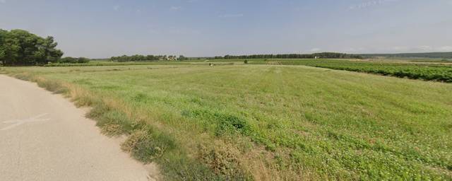 Terreno en Venta en Avinguda Comte Salvatierra d'Àlava, 30 en Fontanars dels Alforins