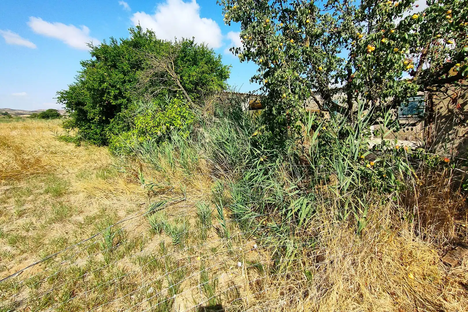 Terreni e lotti in vendita a del Plano del Águila, imagen 17