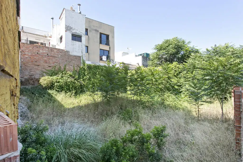 Terrain rustique à vendre à ANDALUSIA, imagen 5
