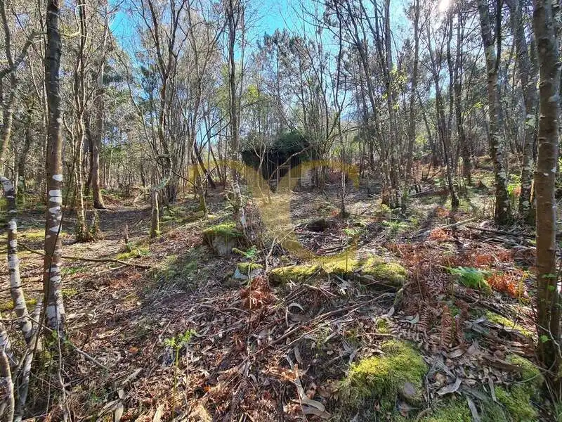 Casa o xalet en venda en Villayón amb Jardí privat