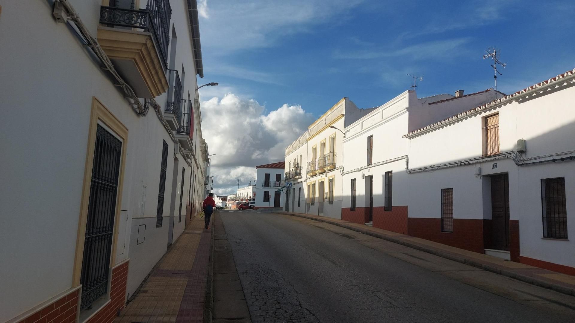 Vista exterior de Casa o xalet en venda en Azuaga amb Balcó