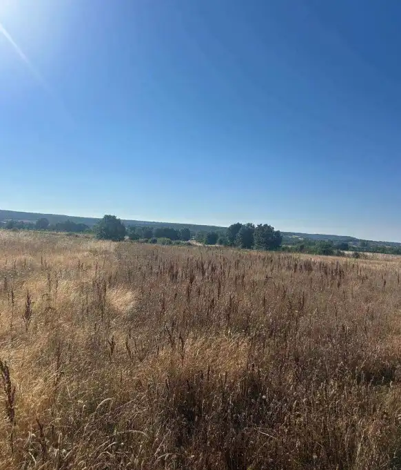 Terreni e lotti in vendita a Almanza