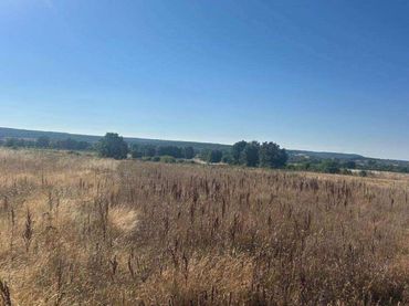Terreno rustico in vendita a Almanza