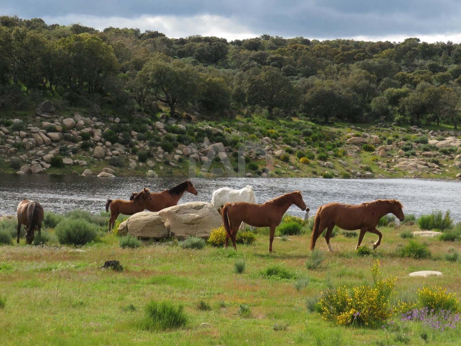 Exterior view of Residential for sale in Ledesma
