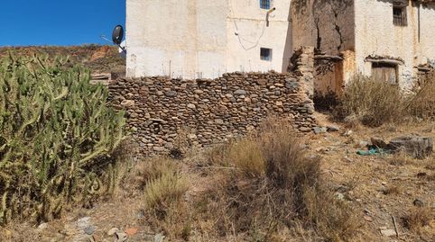 Foto 4 de Finca rústica en venta en Los Morales, 1, Rubite, Granada