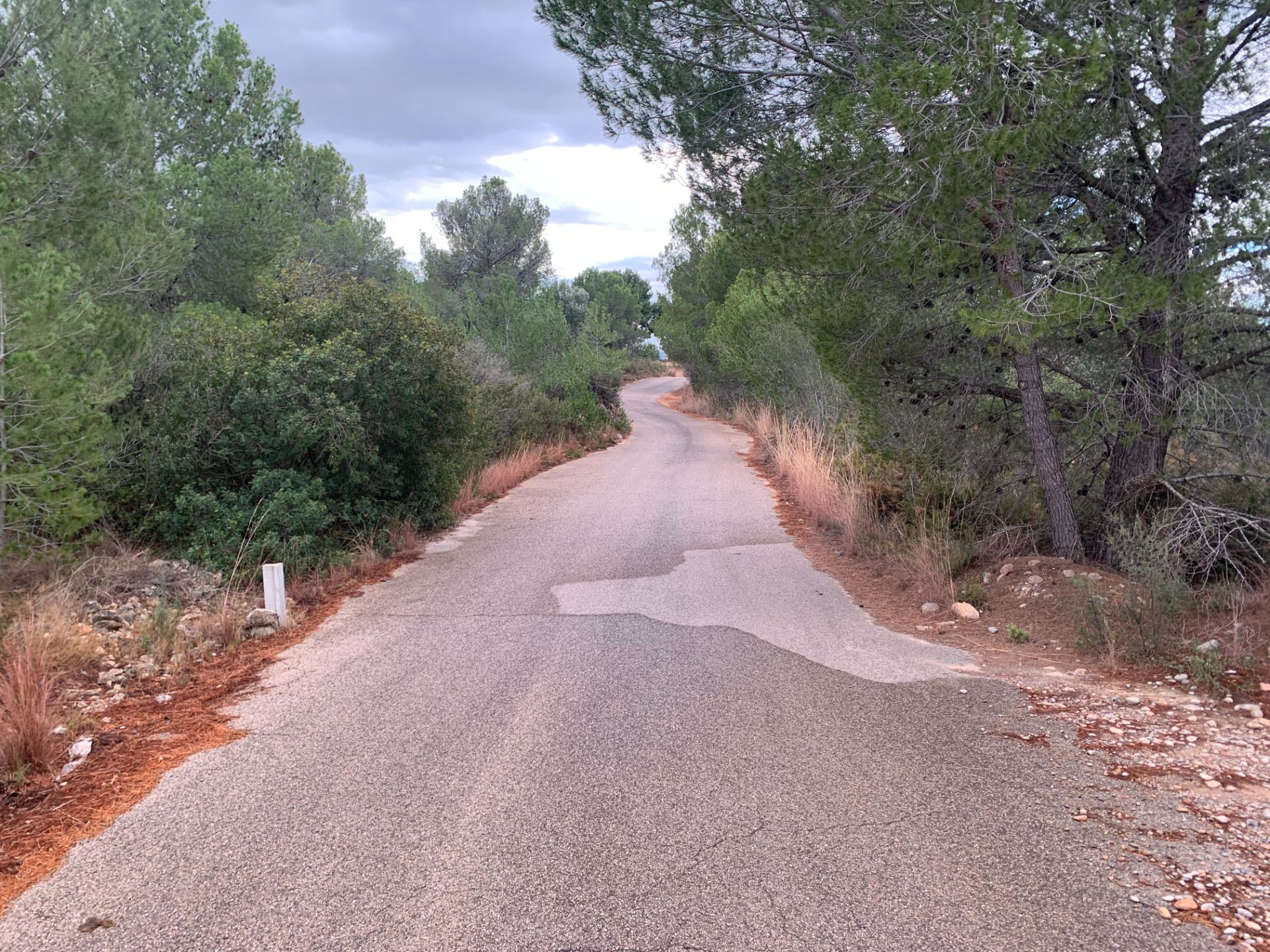 Exterior view of Land for sale in Bétera