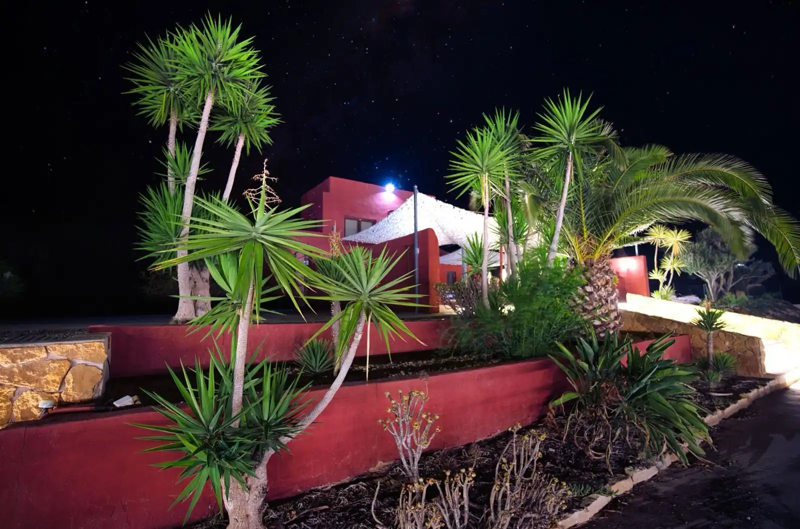 Jardín de Casa o chalet en venta en Orihuela con Jardín privado, Terraza y Trastero