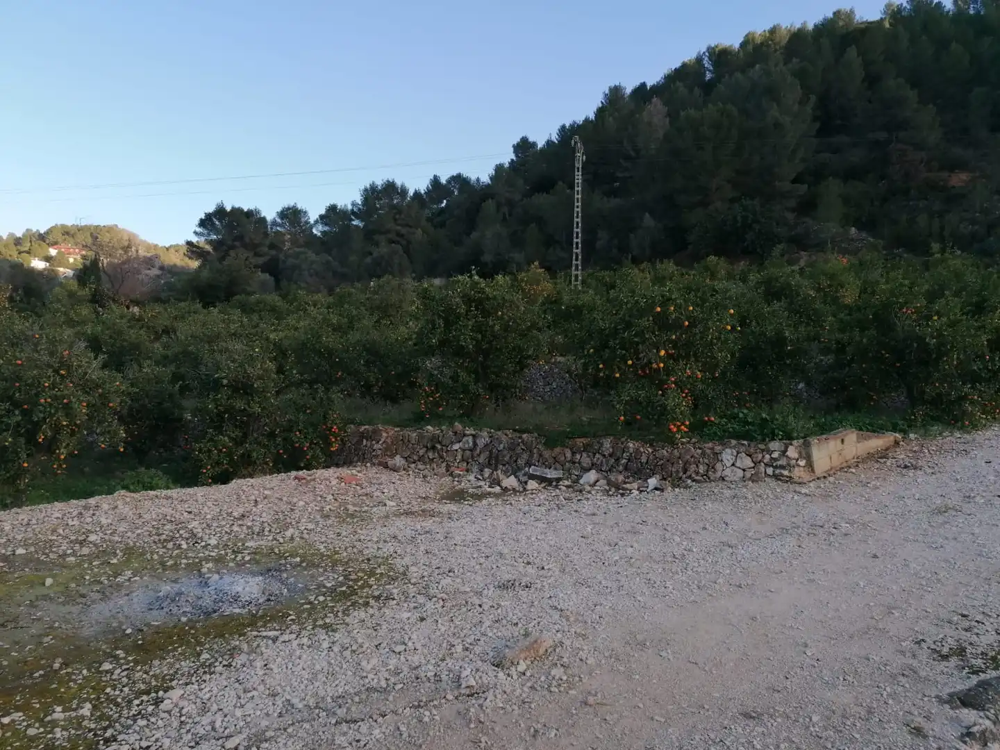 Rural land for sale in Vilallonga / Villalonga, imagen 11
