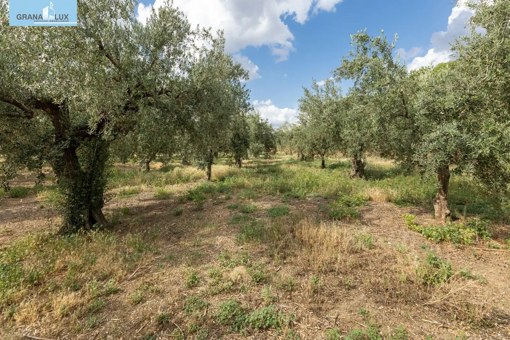 Terreno rustico in vendita a Calle POL 1, PARC 176, imagen 4