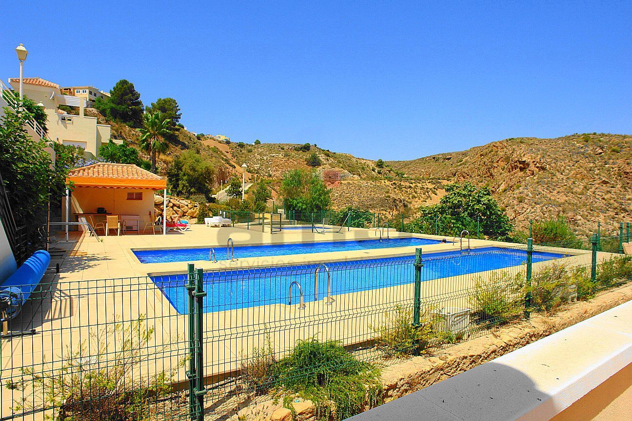 Swimming pool of Duplex to rent in Bédar