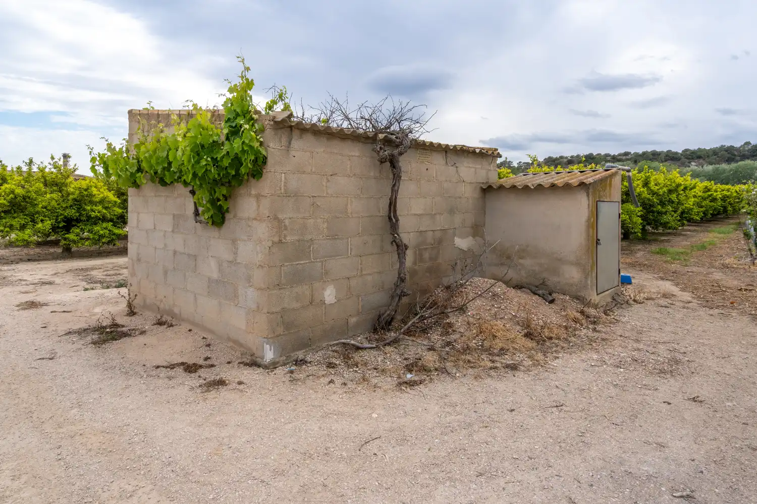 Terrain rustique à vendre à Bítem, imagen 37