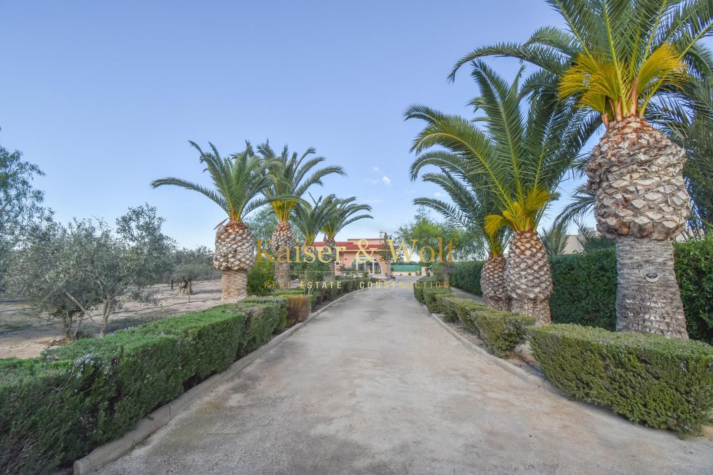 Vista exterior de Finca rústica en venda en Elche / Elx amb Calefacció, Jardí privat i Piscina