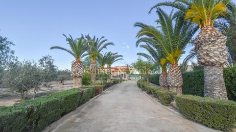 Foto 3 de Finca rústica en venda a Las Bayas, Las Bayas, Alicante