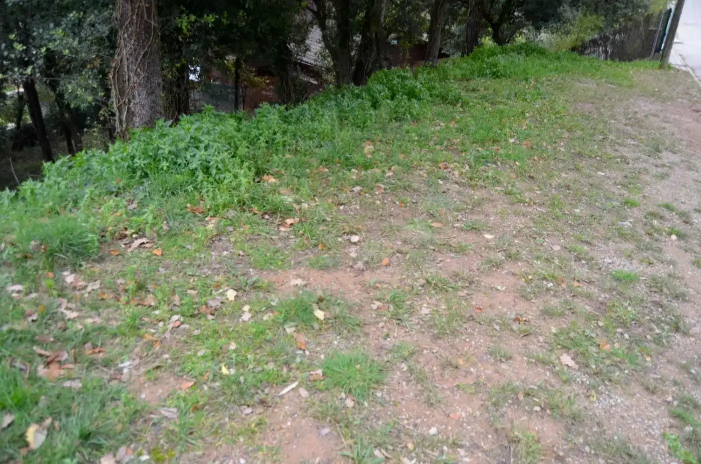 Terreny residencial en venda a Sant Pere de Vilamajor, imagen 6
