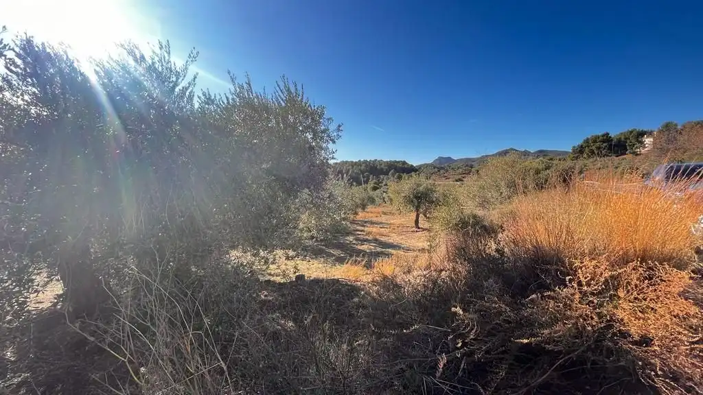 Terreny rústic en venda a Carrer del Dimecres, imagen 22