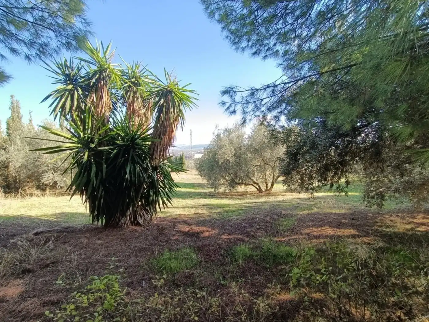 Casa rústica amb jardí en venda a Centro, imagen 32