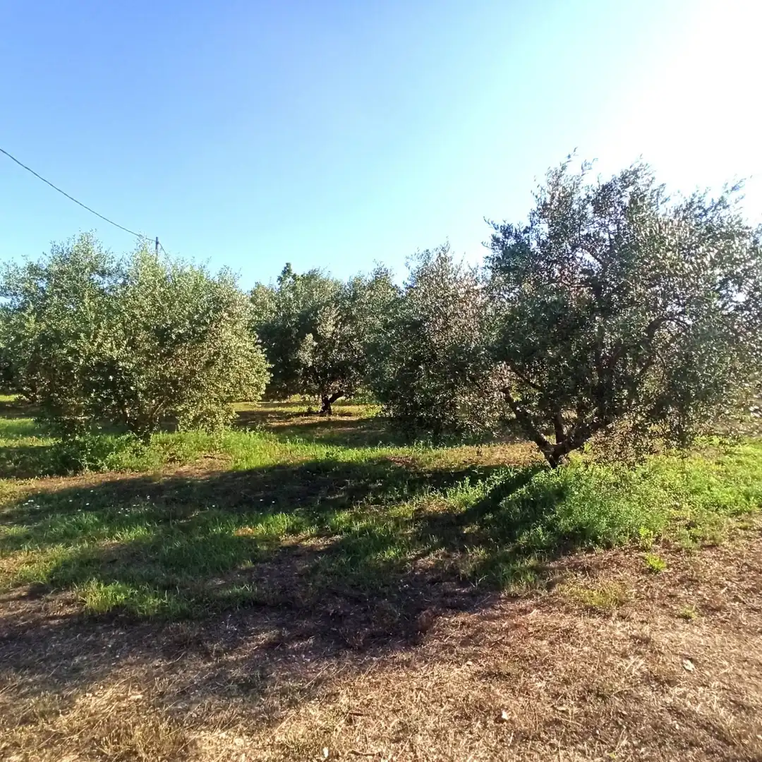 Finca rústica en venta en Reus