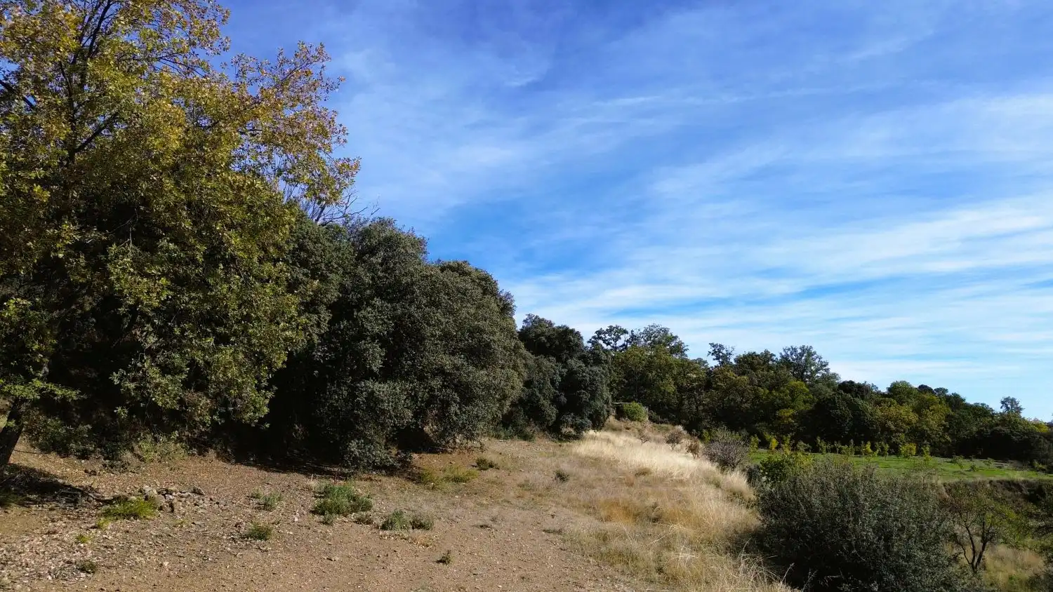 Country homes for sale in Pórtugos