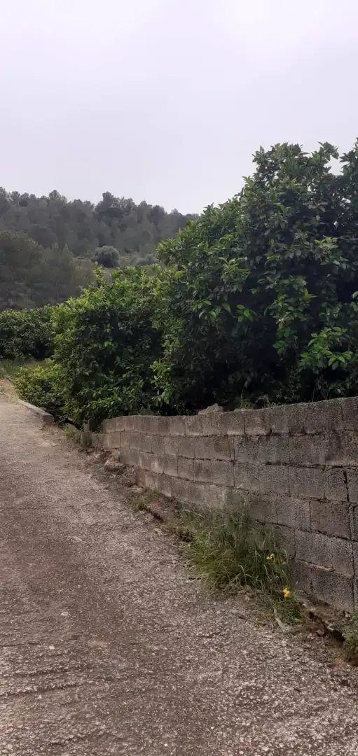 Terreno en venta en Xàtiva