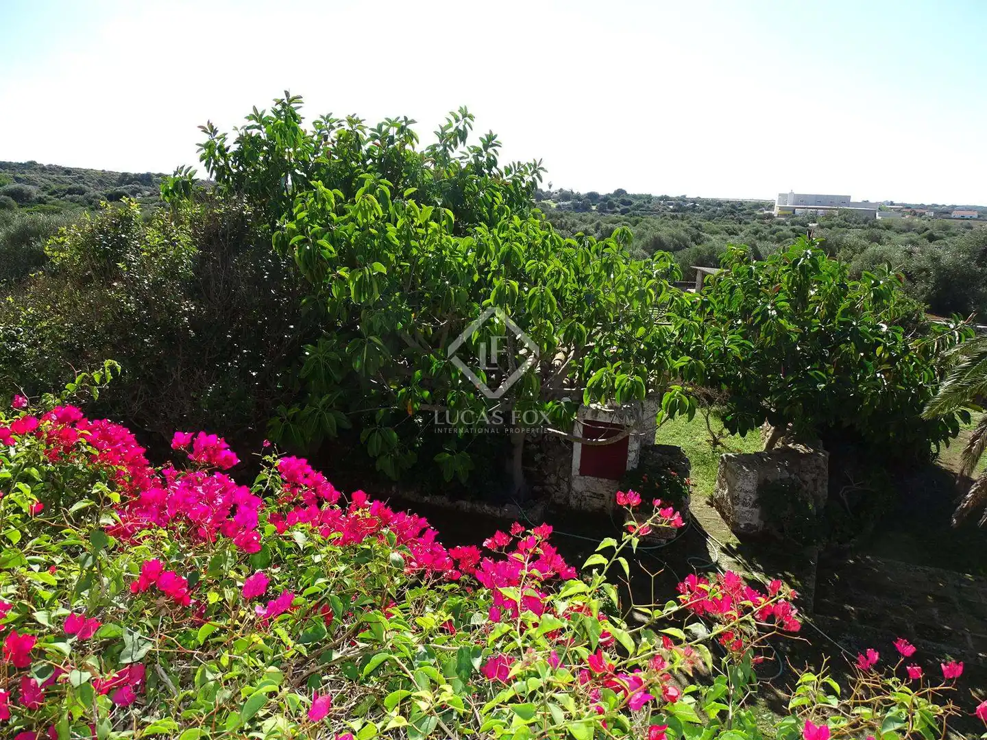 Country homes for sale in Cala Blanca
