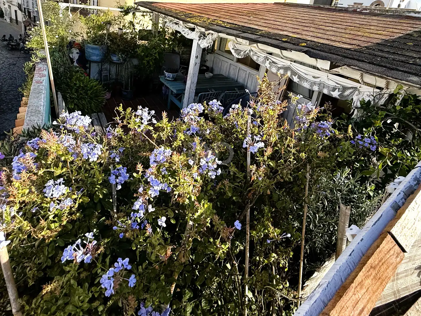 Jardín de Ático en venta en Tarifa con Terraza