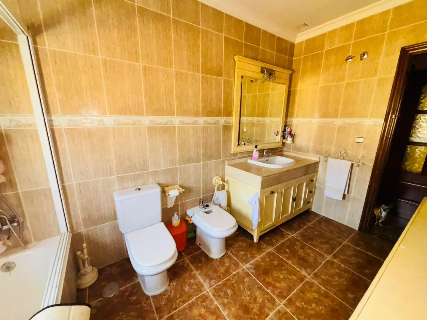 Casa con jardín en venta en Avenida de la Marina 12A, imagen 14